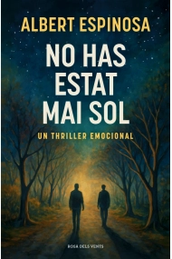 Coberta de No has estat mai sol