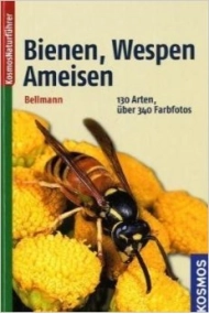 Coberta de Bienen, Wespen, Ameisen