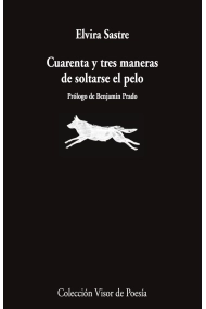Coberta de Cuarenta y tres maneras de soltarse el pelo