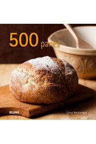 Cover von 500 panes (2024)