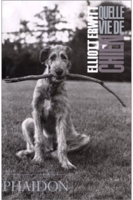 Coberta de Quelle vie de chien