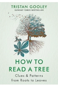 Coberta de How to Read a Tree Clues and Patterns from Roots to Leaves