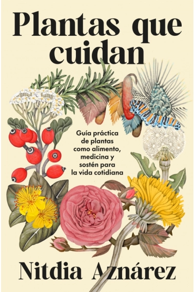Coberta de Plantas que cuidan — Nitdia Aznarez