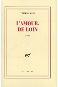 Cover of L'amour, de loin roman