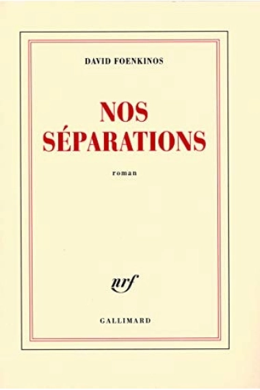 Cubierta de Nos séparations — David Foenkinos
