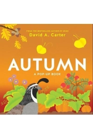 Coberta de Autumn : A Pop-Up Book