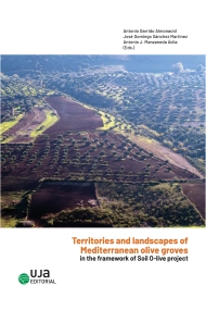 Cover von Territories and landscapes of Mediterranean Olive groves in the framework of Soil O-live project