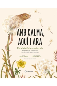 Coberta de Amb calma, aquí i ara