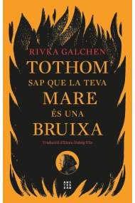 Coberta de Tothom sap que la teva mare és una bruixa