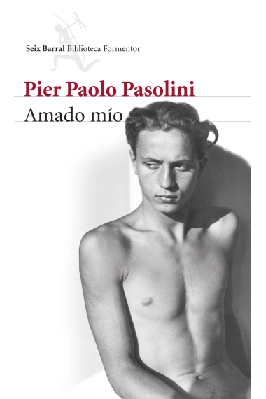 Coberta de Amado mío — Pier Paolo Pasolini